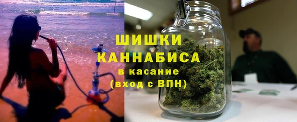 крисы Надым