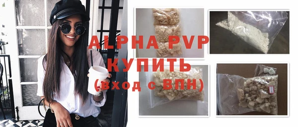 крисы Надым