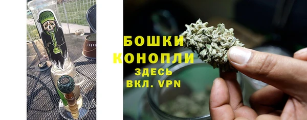 крисы Надым