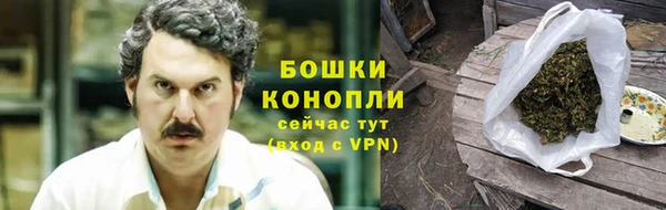 крисы Надым