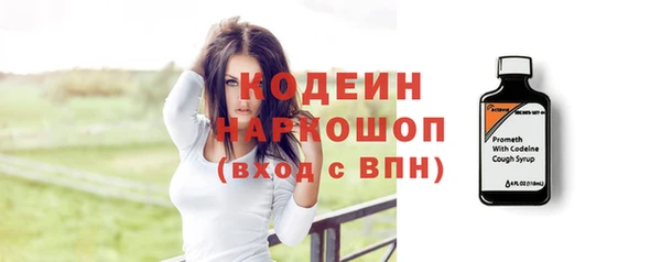 крисы Надым