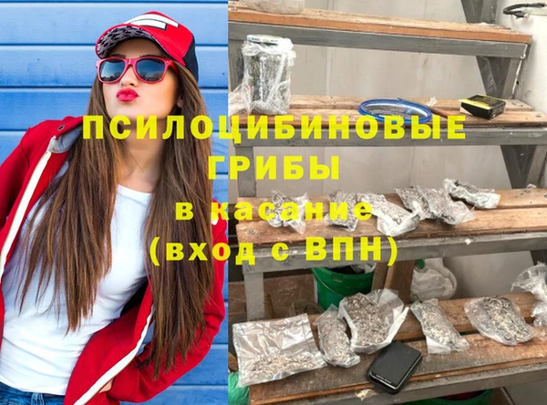 сатива Волгодонск