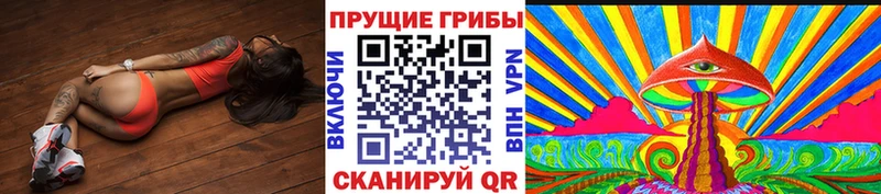 наркотики  kraken ССЫЛКА  Галлюциногенные грибы ЛСД  Тайга 