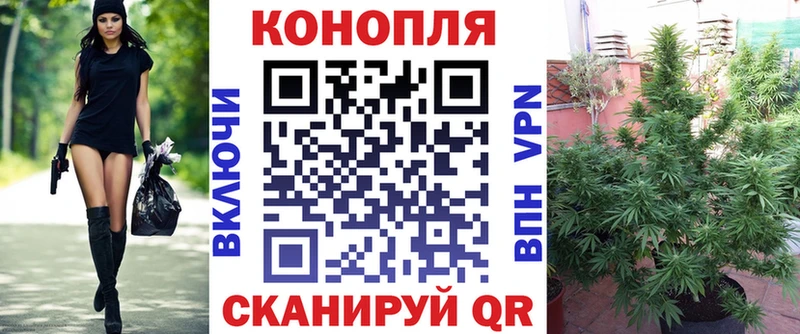 ОМГ ОМГ вход  Тайга  МАРИХУАНА SATIVA & INDICA 